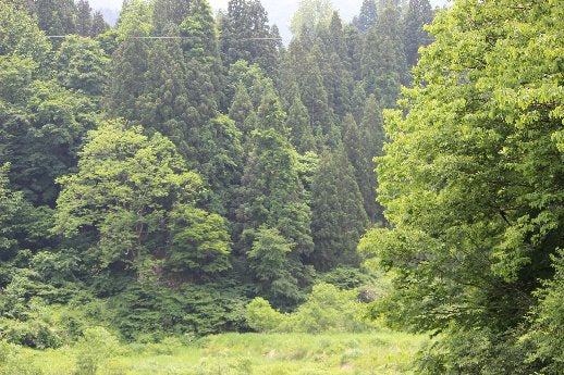 入コン沢（入りコン沢）とは ④