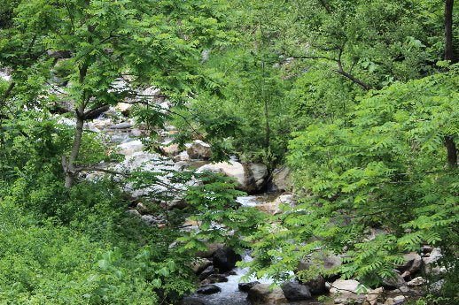 入コン沢（入りコン沢）とは ⑤