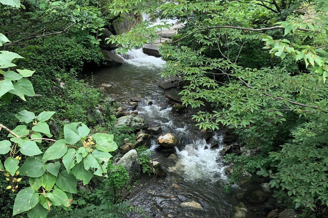 入コン沢（入りコン沢）とは ①
